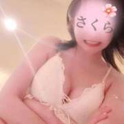 さくら 下からさくら🌸 [おしらせ] 華椿（YESグループヨコハマ）