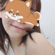 平岩めぐる 本日(2/25)出勤します〜 五反田ヒーローズ（ユメオト）