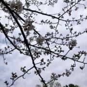 平岩めぐる 本日(2/27)出勤します♩ 五反田ヒーローズ（ユメオト）