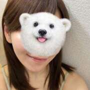 ヒメ日記 2026/04/15 14:59 投稿 平岩めぐる 五反田ヒーローズ（ユメオト）