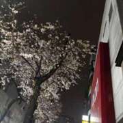 ヒメ日記 2026/03/28 02:40 投稿 桃尻なのは ウルトラホワイト