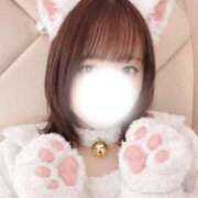 ヒメ日記 2026/02/19 08:01 投稿 もえか 錦糸町ティラミス（シンデレラグループ）