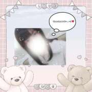 ちふゆ 感謝💞 風俗の神様　浜松店