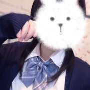 ヒメ日記 2026/03/19 00:35 投稿 ゆあ 2980円