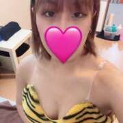 ヒメ日記 2026/02/06 12:09 投稿 ある 折り紙 ORIGAMI