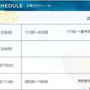 ヒメ日記 2026/02/08 11:19 投稿 羽衣（う　い） ビッグバード