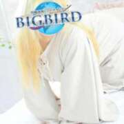 ヒメ日記 2026/02/17 10:58 投稿 羽衣（う　い） ビッグバード