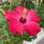 ヒメ日記 2026/02/09 10:51 投稿 ちとせ アネックスジャパン