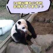 ヒメ日記 2026/02/03 23:21 投稿 れみ ぷるるん小町梅田店