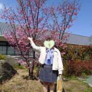 ヒメ日記 2026/03/24 06:15 投稿 れみ ぷるるん小町梅田店