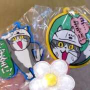 れみ 新作たち🩵 ぷるるん小町梅田店