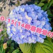 ヒメ日記 2026/06/15 00:42 投稿 れみ ぷるるん小町梅田店