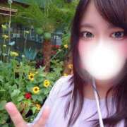 ヒメ日記 2026/07/04 09:45 投稿 れみ ぷるるん小町梅田店