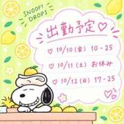 ヒメ日記 2026/10/10 18:44 投稿 れみ ぷるるん小町梅田店