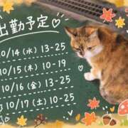 ヒメ日記 2026/10/14 06:12 投稿 れみ ぷるるん小町梅田店