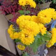 ヒメ日記 2026/02/14 12:07 投稿 ゆか メンエス日暮里