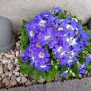 ヒメ日記 2026/02/20 12:01 投稿 ゆか メンエス日暮里