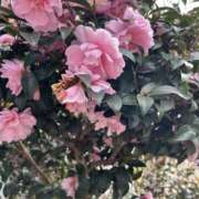 ヒメ日記 2026/02/21 12:05 投稿 ゆか メンエス日暮里