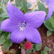 ヒメ日記 2026/02/28 11:33 投稿 ゆか メンエス日暮里