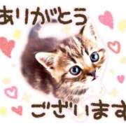 ヒメ日記 2026/02/28 16:04 投稿 ゆか メンエス日暮里