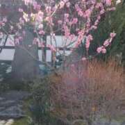 ヒメ日記 2026/03/13 18:07 投稿 ゆか メンエス日暮里