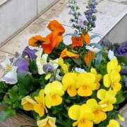 ヒメ日記 2026/03/14 12:04 投稿 ゆか メンエス日暮里