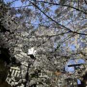 ヒメ日記 2026/03/28 19:30 投稿 ゆか メンエス日暮里