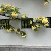 ゆか 先程は☺️ メンエス日暮里