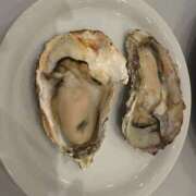 ヒメ日記 2026/03/14 12:06 投稿 らら メンエス日暮里