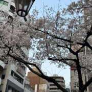 ヒメ日記 2026/03/28 23:57 投稿 ゆみ メンエス日暮里