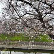 ヒメ日記 2026/04/01 09:43 投稿 渡瀬 千鶴 CASA BIANCA（カーサ・ビアンカ）