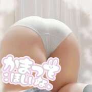 みどり ぱしゃり? 八尾藤井寺羽曳野ちゃんこ