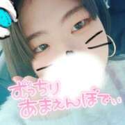 ヒメ日記 2026/03/13 16:48 投稿 みどり 八尾藤井寺羽曳野ちゃんこ