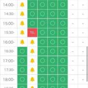 ヒメ日記 2026/02/17 11:26 投稿 あんり(10000) 原価デリヘルcospa（コスパ）