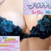 ヒメ日記 2026/03/11 19:41 投稿 のえる プラチナ