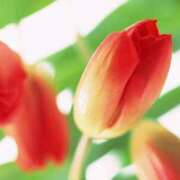 ヒメ日記 2026/02/04 19:16 投稿 ゆき 足利スチームバスセンター