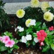 ヒメ日記 2026/02/07 09:46 投稿 ゆき 足利スチームバスセンター