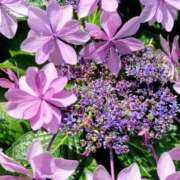 ヒメ日記 2026/02/12 09:31 投稿 ゆき 足利スチームバスセンター