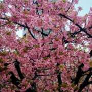 ヒメ日記 2026/02/26 14:01 投稿 ゆき 足利スチームバスセンター