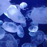 ヒメ日記 2026/02/18 20:12 投稿 わかば マダムン谷九