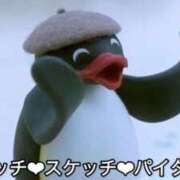 ヒメ日記 2026/02/13 15:49 投稿 なえあ 広島サンキュー