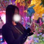 ヒメ日記 2026/02/03 15:30 投稿 もち ロイヤルフラッシュ