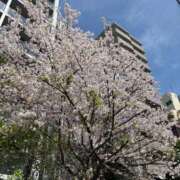 ヒメ日記 2026/04/06 11:19 投稿 のあ シャングリラ