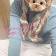 ヒメ日記 2026/02/26 10:45 投稿 柚乃(ゆの) カサブランカ福山店（カサブランカグループ）