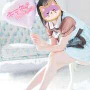 あやな ŧ‹”ŧ‹”( ‘ч’ )ŧ‹”ŧ‹” ニュー不夜城