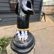 ヒメ日記 2026/04/08 06:13 投稿 芽亜【メア】 輝女