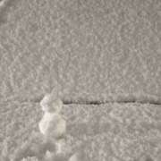 ヒメ日記 2026/02/08 12:11 投稿 あげは☆ 粋美　suibi