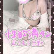 ヒメ日記 2026/07/11 07:45 投稿 如月 みぃ こあくまな熟女たち伊勢崎店（KOAKUMAグループ）