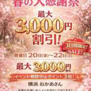 ヒメ日記 2026/03/12 08:45 投稿 こはく 横浜おかあさん