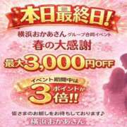 ヒメ日記 2026/03/22 09:03 投稿 こはく 横浜おかあさん